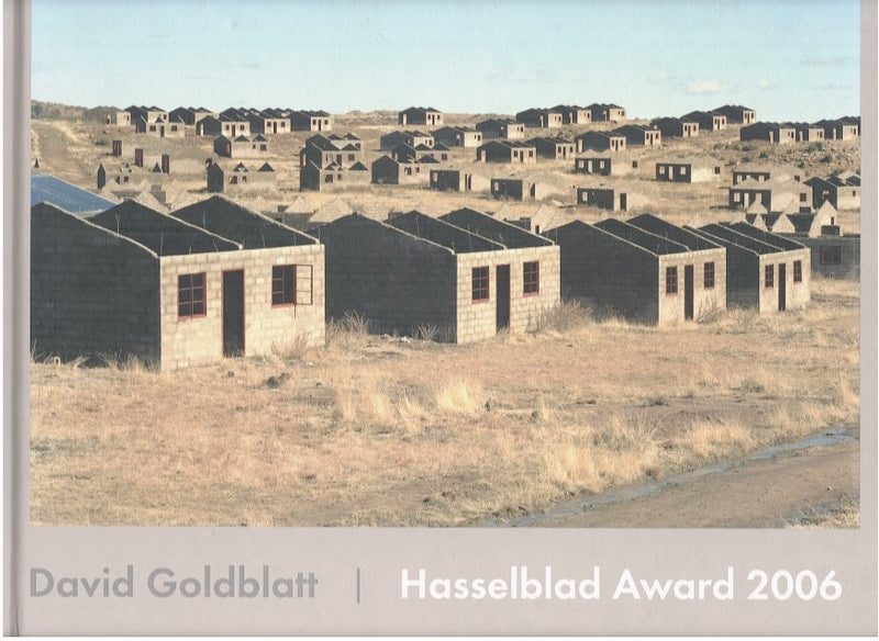 DAVID GOLDBLATT, Hasselblad Award 2006