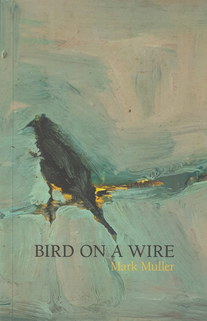 BIRD ON A WIRE