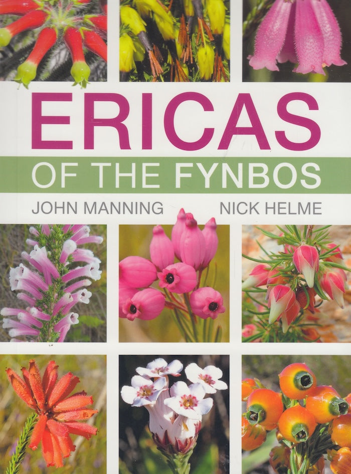 ERICAS OF THE FYNBOS
