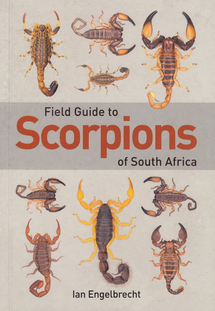 FIELD GUIDE TO SCORPIONS OF SOUTH AFRICA