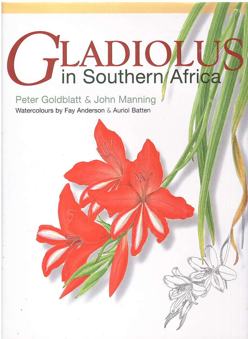 GLADIOLUS IN SOUTHERN AFRICA, watercolours by Fay Anderson & Auriol Batten, line drawings by John Manning