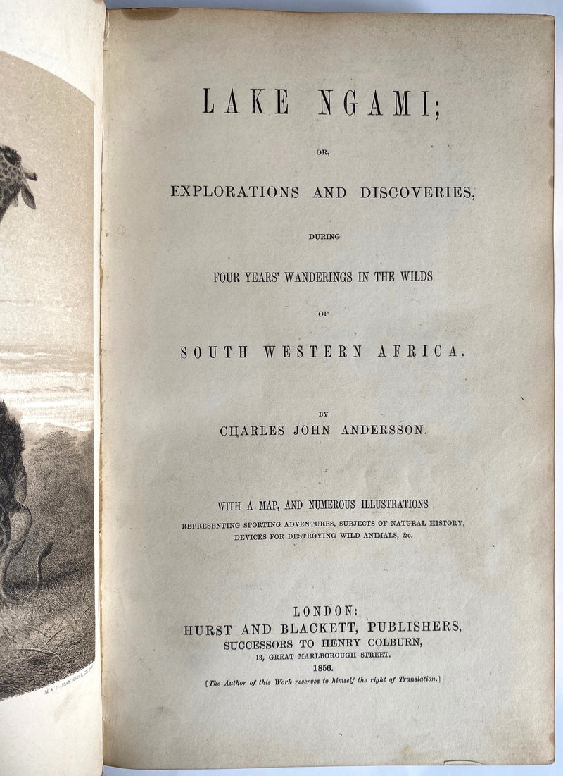 LAKE NGAMI, or exlorations and discoveries during four years' wanderings in the wilds of South Western Africa