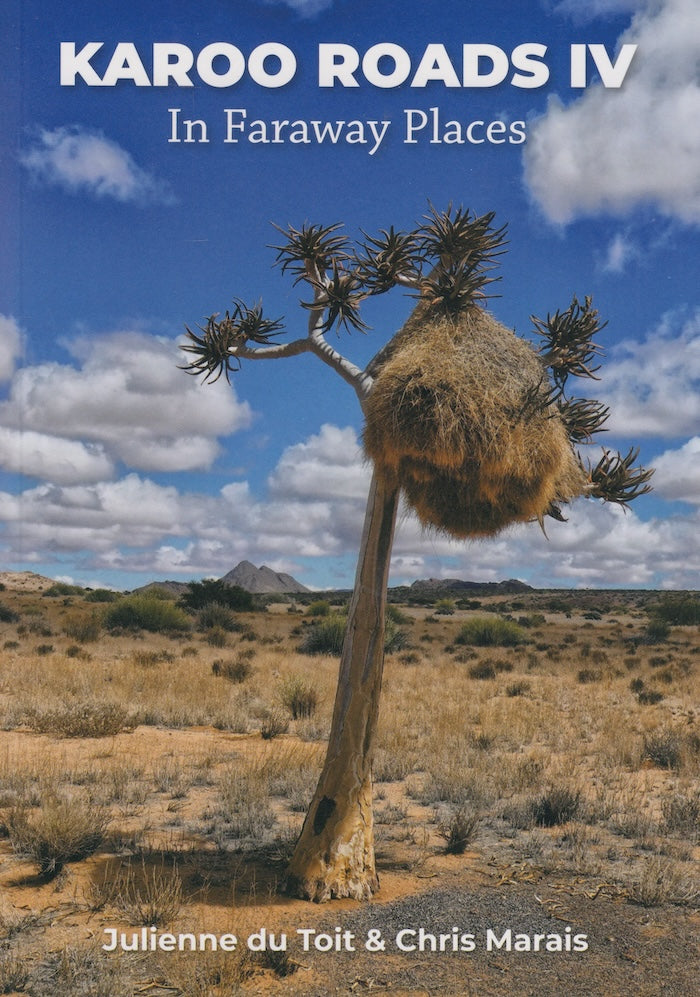 KAROO ROADS IV, in faraway places