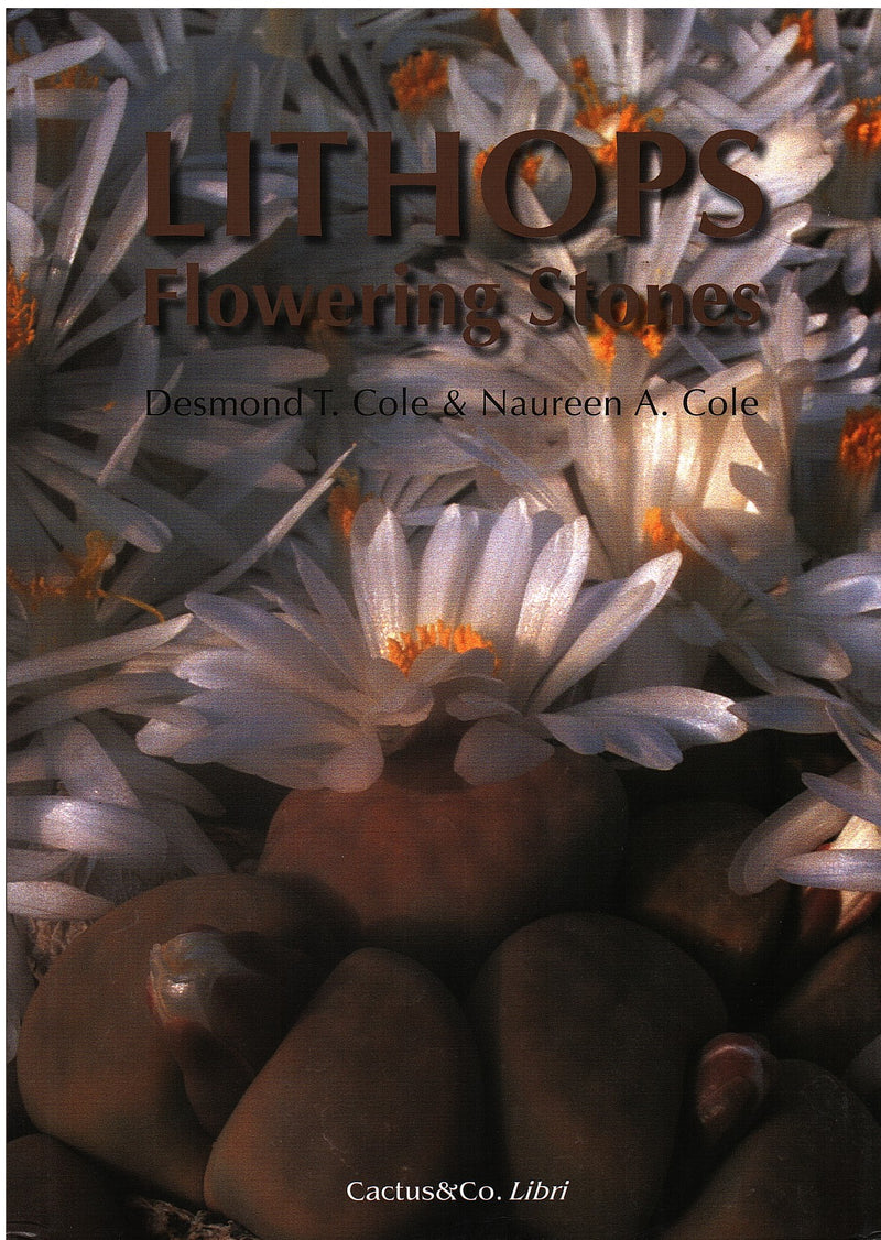 LITHOPS, flowering stones