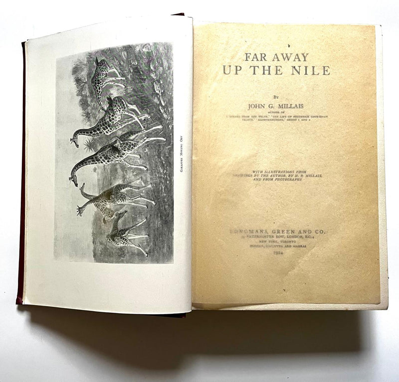 FAR AWAY UP THE NILE