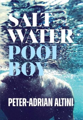 SALT WATER POOL BOY