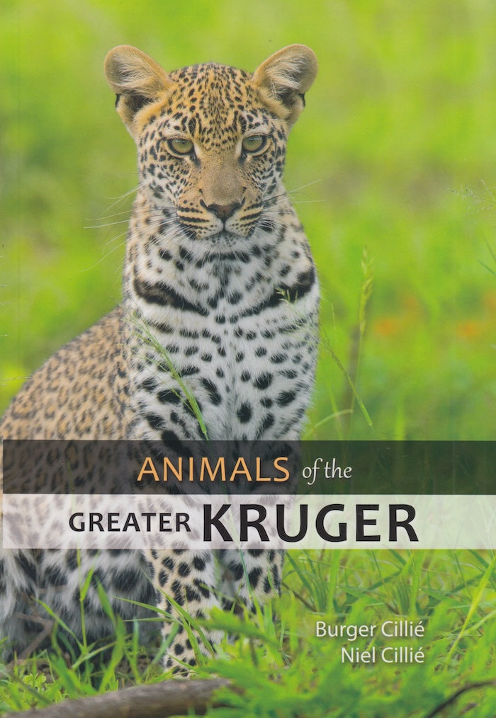 ANIMALS OF THE GREATER KRUGER