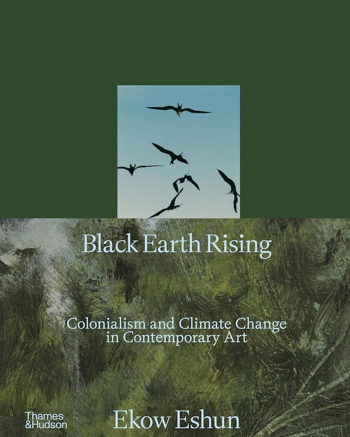 BLACK EARTH RISING, colonialism and climate change in contemporary art