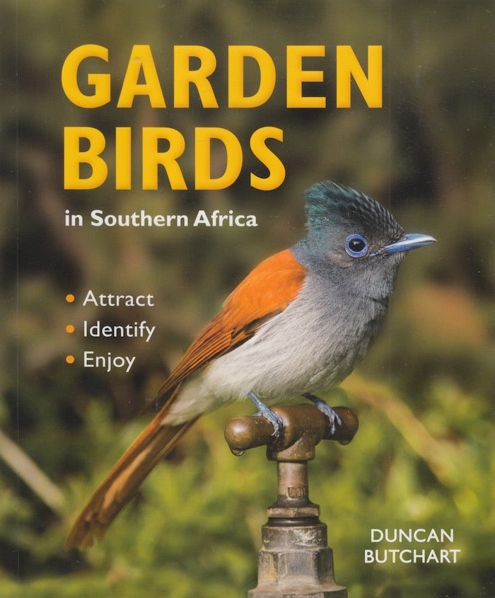 GARDEN BIRDS, in Southern Africa