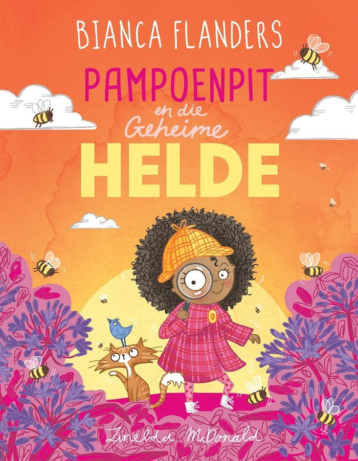 PAMPOENPIT EN DIE GEHEIME HELDE