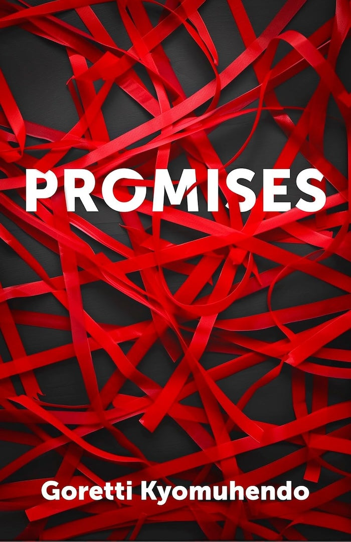 PROMISES, a novel
