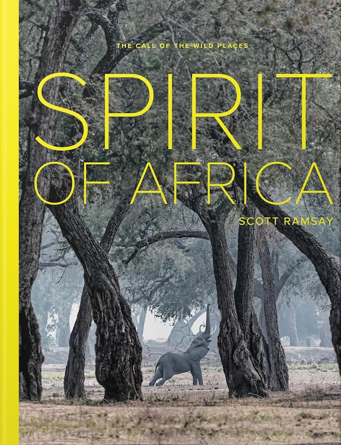 SPIRIT OF AFRICA, the call of the wild places