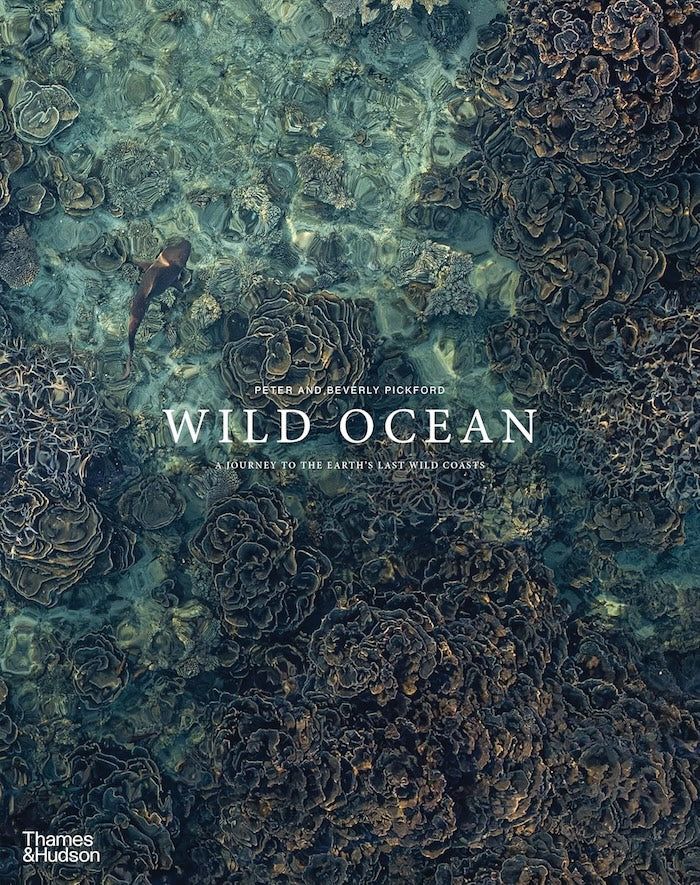 WILD OCEAN, a journey to the earth's last wild coasts