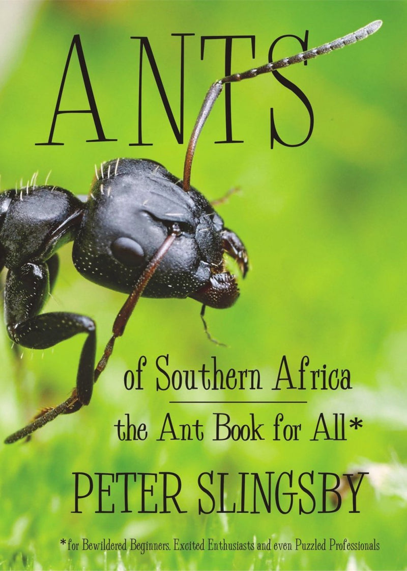 ANTS OF SOUTHERN AFRICA, the ant book for all