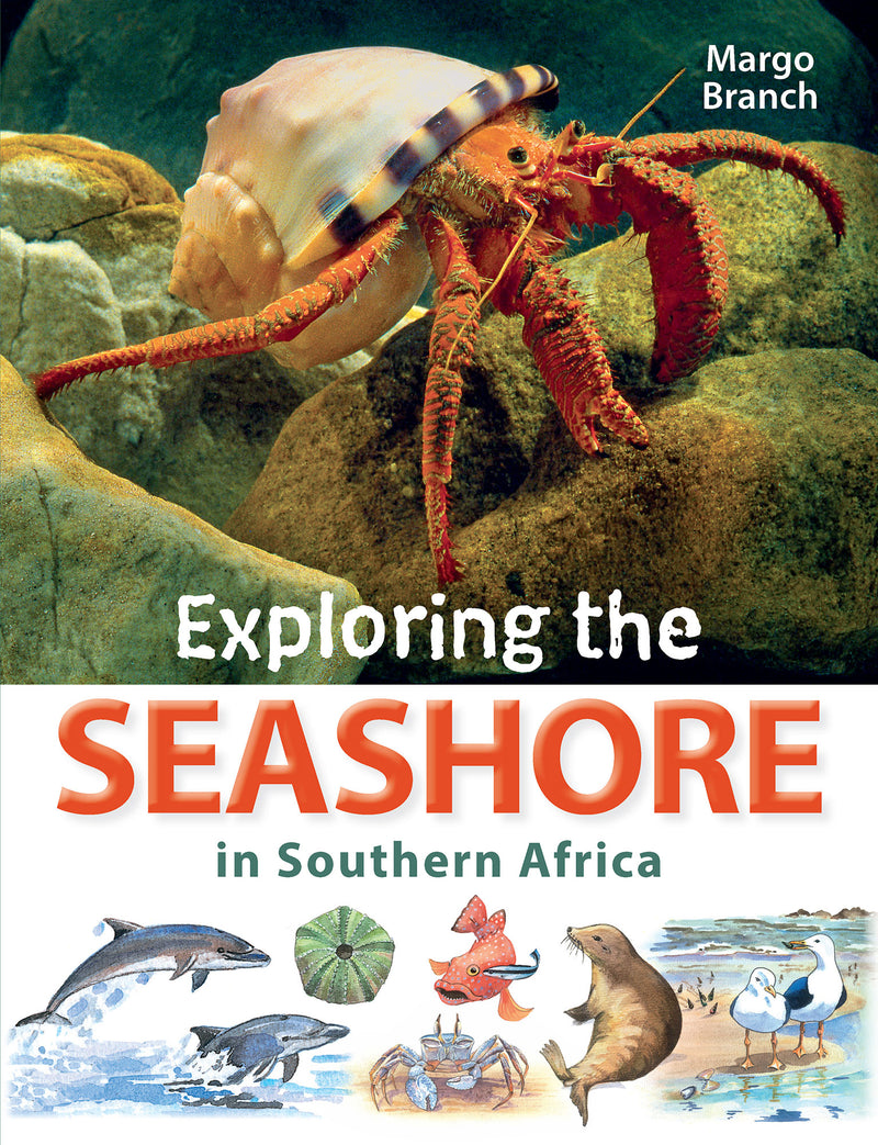 EXPLORING THE SEASHORE, in southern Africa