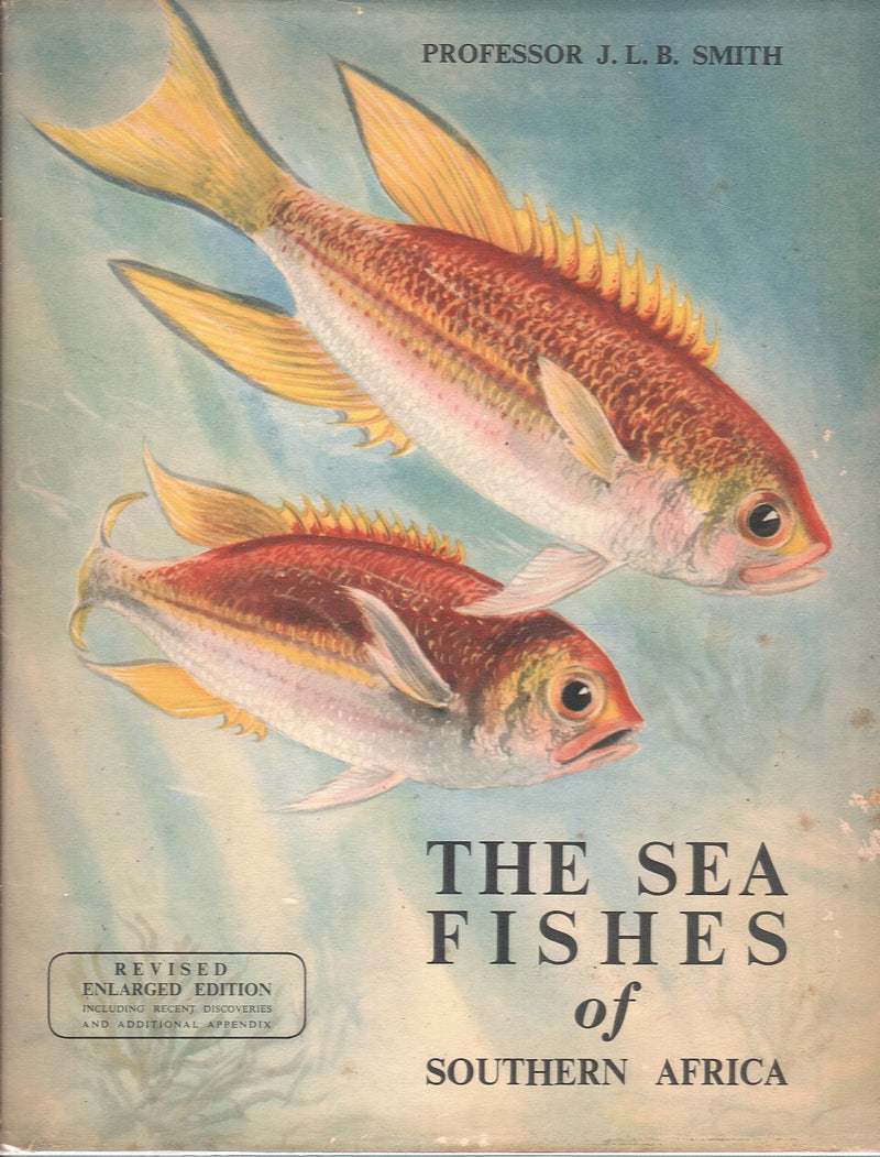 THE SEA FISHES OF SOUTHERN AFRICA, with illustrations by Margaret M. Smith and other artists