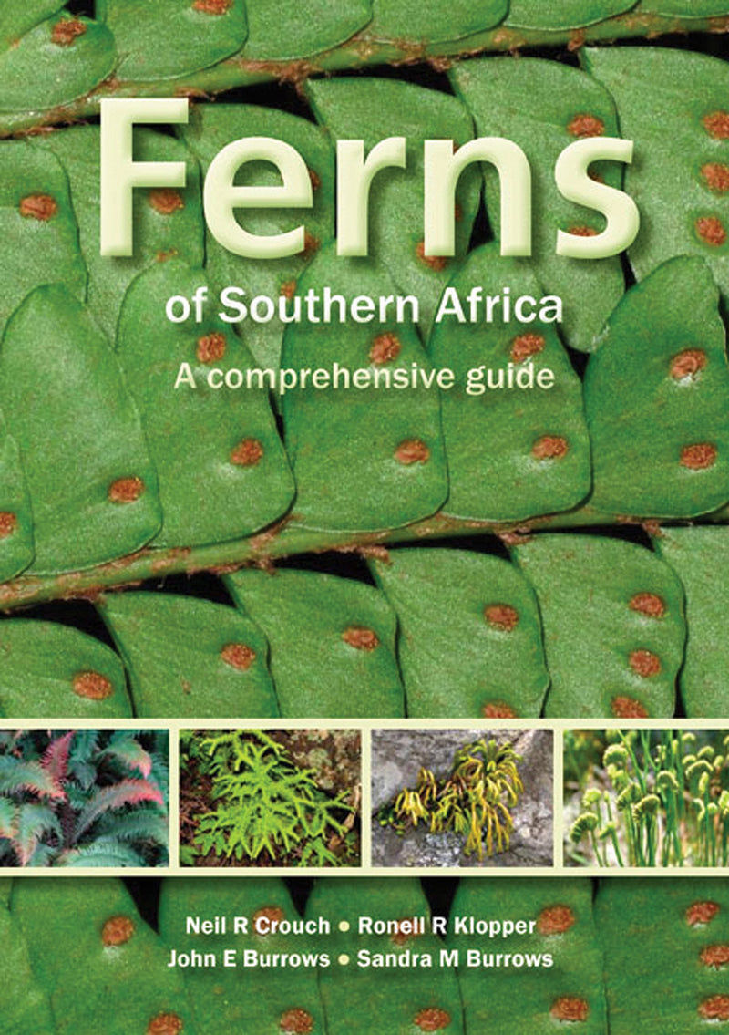 FERNS OF SOUTHERN AFRICA, a comprehensive guide