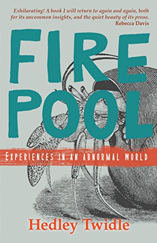 FIREPOOL, experiences in an abnormal world