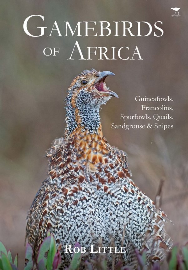 GAMEBIRDS OF AFRICA, guineafowls, francolins, spurfowls, quails, sandgrouse & snipes