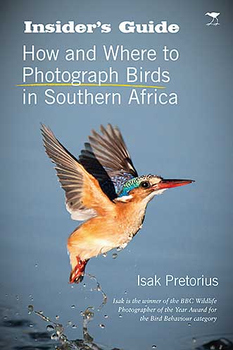 INSIDER'S GUIDE, HOW AND WHERE TO PHOTOGRAPH BIRDS IN SOUTHERN AFRICA