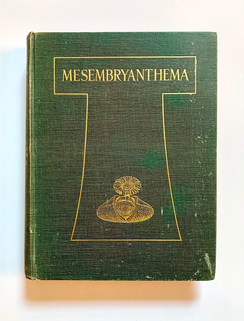 MESEMBRYANTHEMA, descriptions, with chapters on cultivation and general ecology