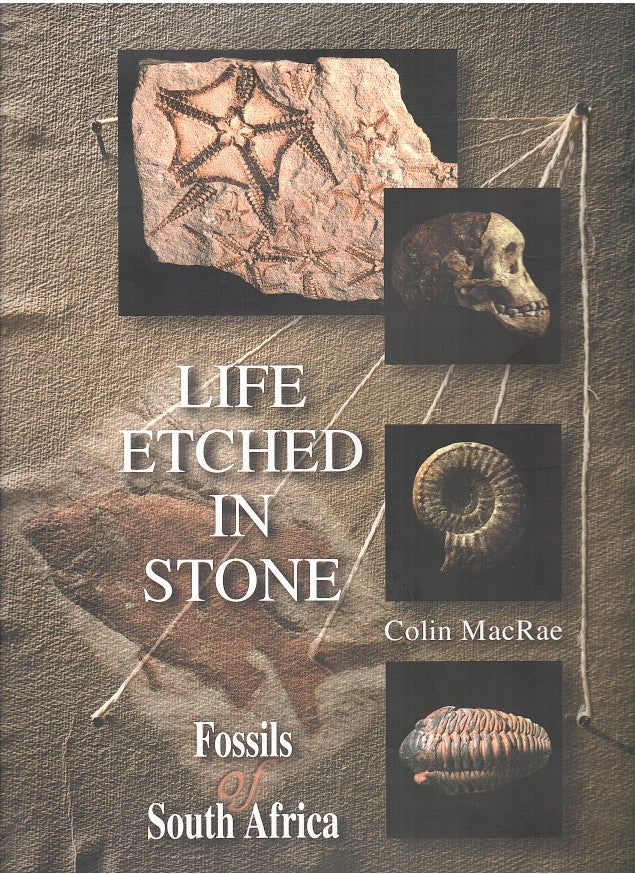 LIFE ETCHED IN STONE, fossils of South Africa
