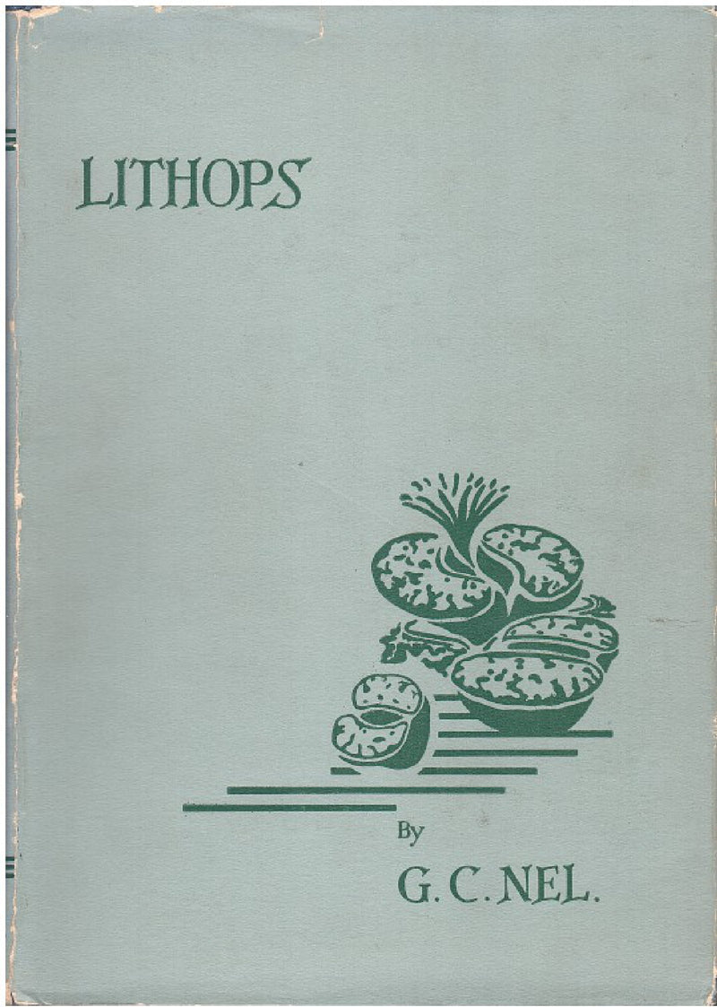 LITHOPS, plantae succulentae, rarissimae, in terra obscuratae, e familia Aizoaceae, ex Africa australi