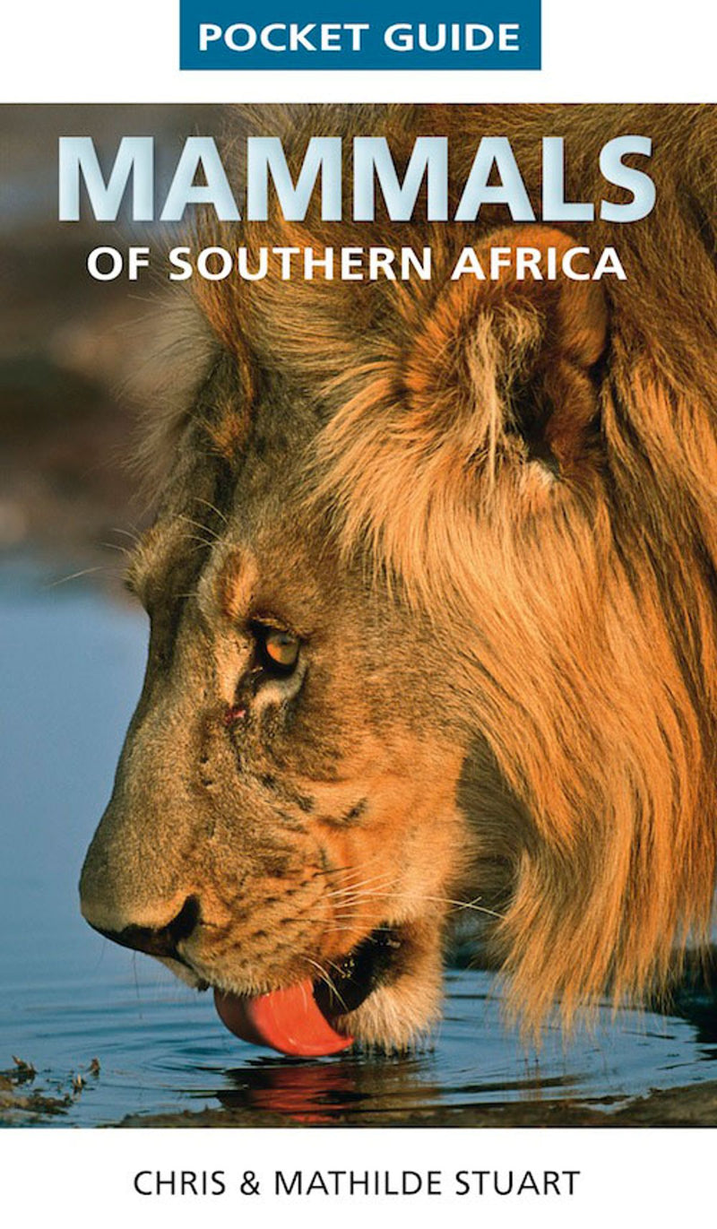 MAMMALS OF SOUTHERN AFRICA, pocket guide