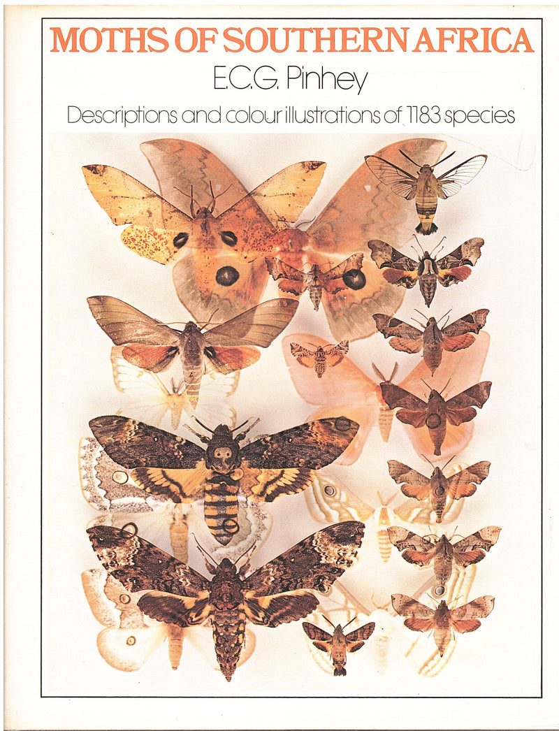 MOTHS OF SOUTHERN AFRICA, descriptions and colour illustrations of 1183 species
