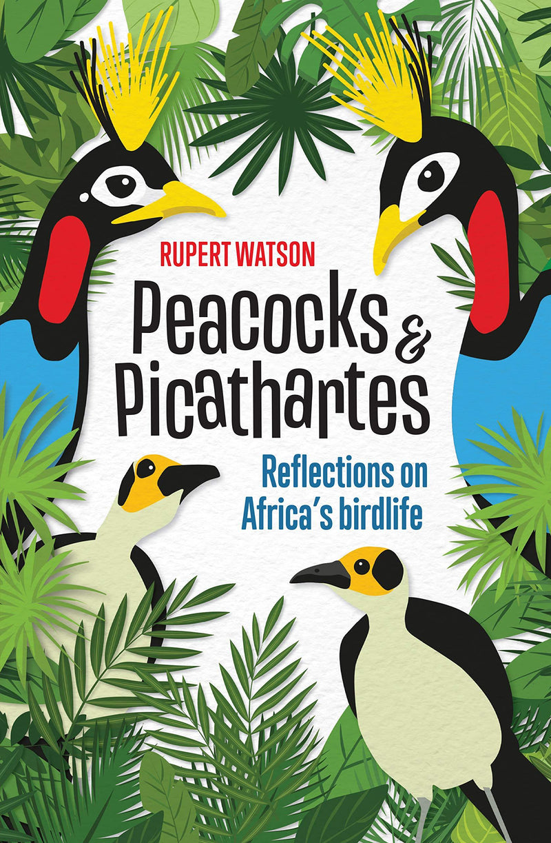 PEACOCKS & PICATHARTES, reflections on Africa's birdlife
