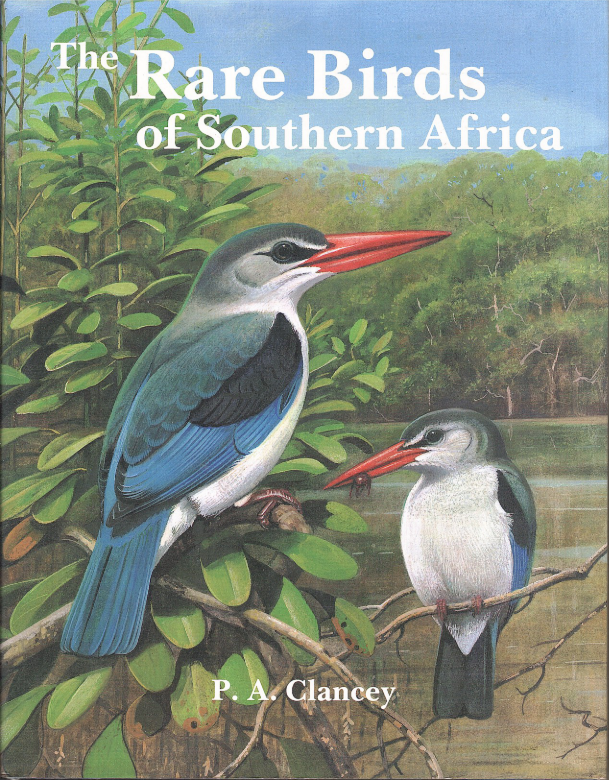 THE RARE BIRDS OF SOUTHERN AFRICA
