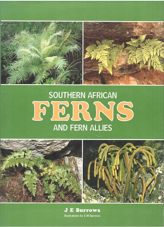 SOUTHERN AFRICAN FERNS AND FERN ALLIES