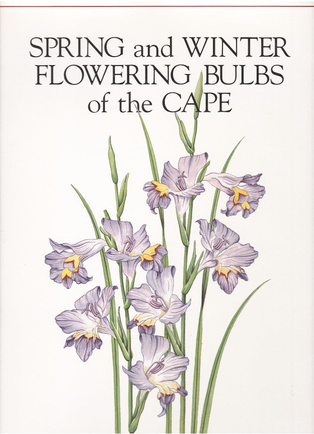 SPRING AND WINTER FLOWERING BULBS OF THE CAPE