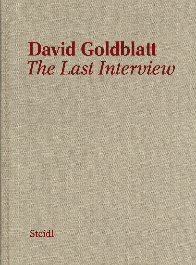 DAVID GOLDBLATT, the last interview, interview and text by Alexandra Dodd