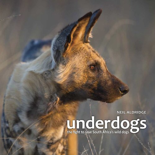 UNDERDOGS, the fight to save South Africa's wild dogs