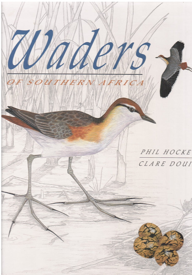 WADERS OF SOUTHERN AFRICA