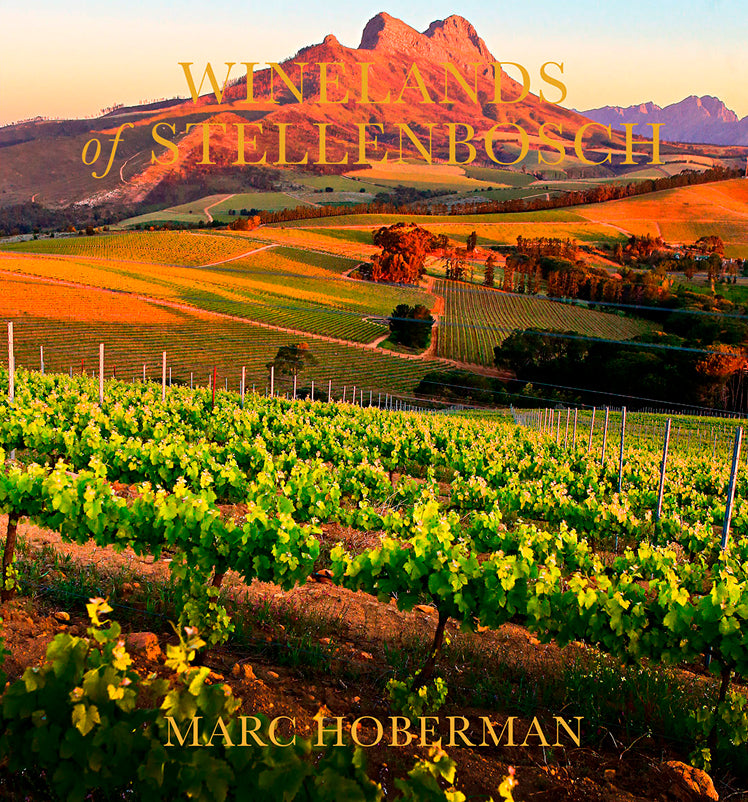 WINELANDS OF STELLENBOSCH, the jewel of South Africa's wine country