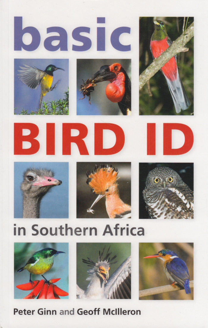 BASIC BIRD ID IN SOUTHERN AFRICA