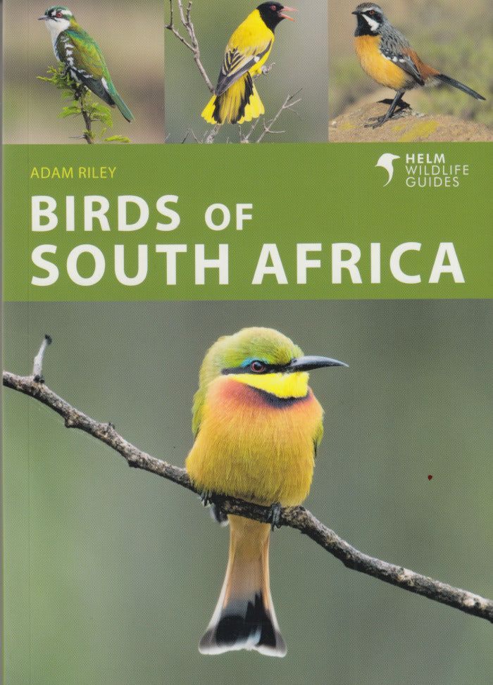 BIRDS OF SOUTH AFRICA, a photographic guide