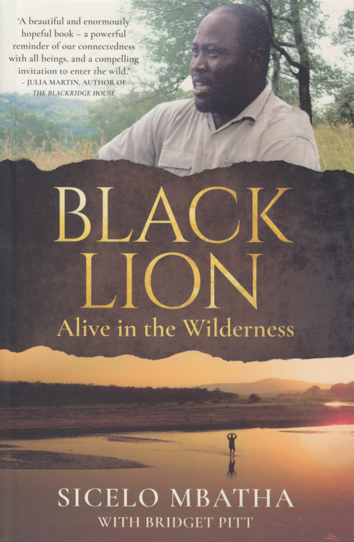 BLACK LION, alive in the wilderness
