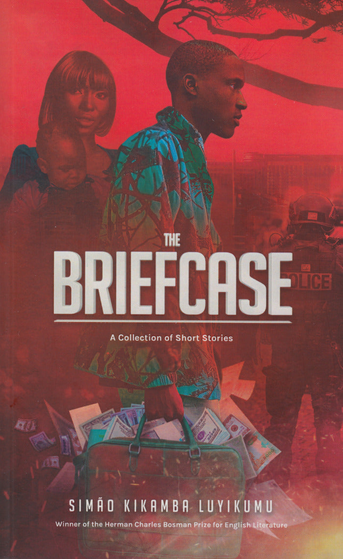 THE BRIEFCASE, a collection of short stories