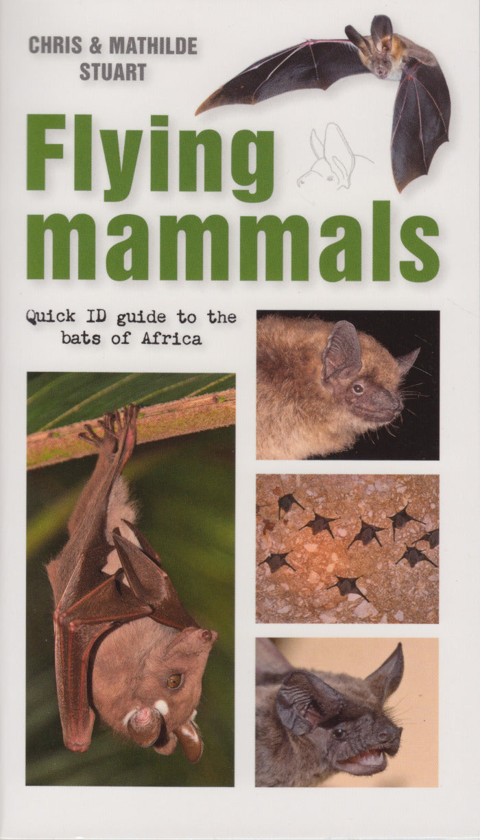 FLYING MAMMALS, quick ID guide to the bats of Africa