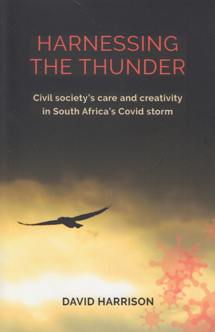 HARNESSING THE THUNDER, civil society's care and creativity in South Africa's Covid storm
