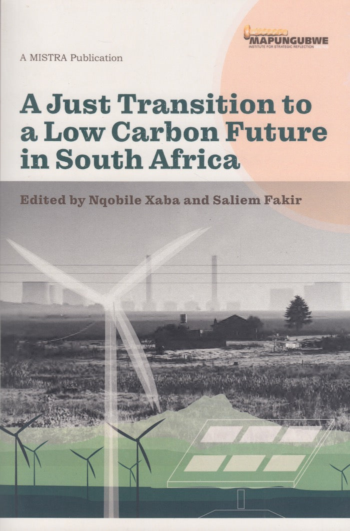 A JUST TRANSITION TO A LOW CARBON FUTURE IN SOUTH AFRICA