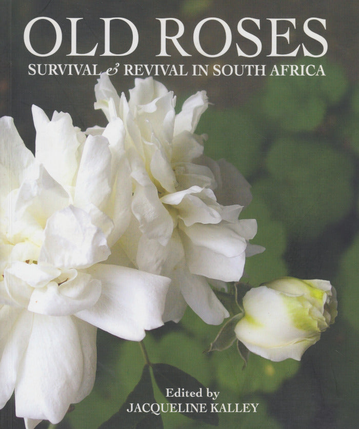 OLD ROSES, survival & revival in South Africa
