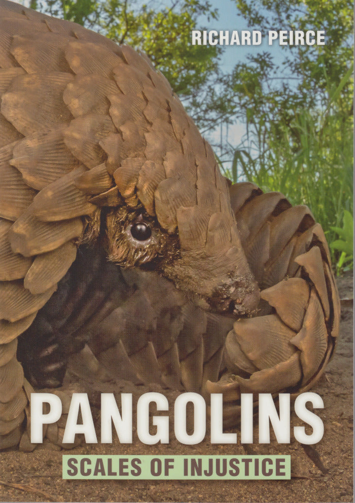 PANGOLINS, scales of injustice